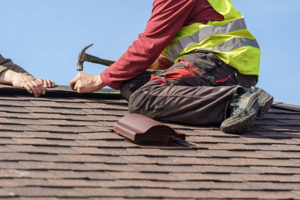 Best Storm Damage Roof Repair  in Kodi, AK