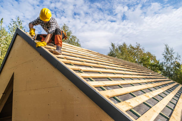 Best Storm Damage Roof Repair  in Kodi, AK